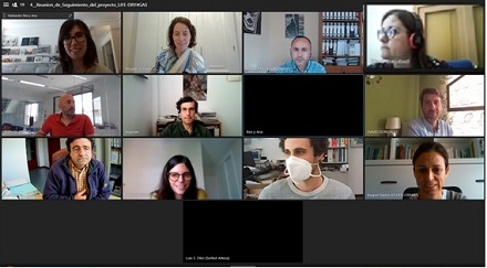 image of the virtual meeting (2)