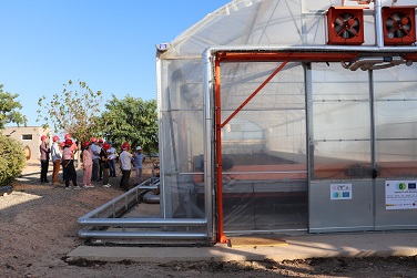 Photo of the outer area of the greenhouse